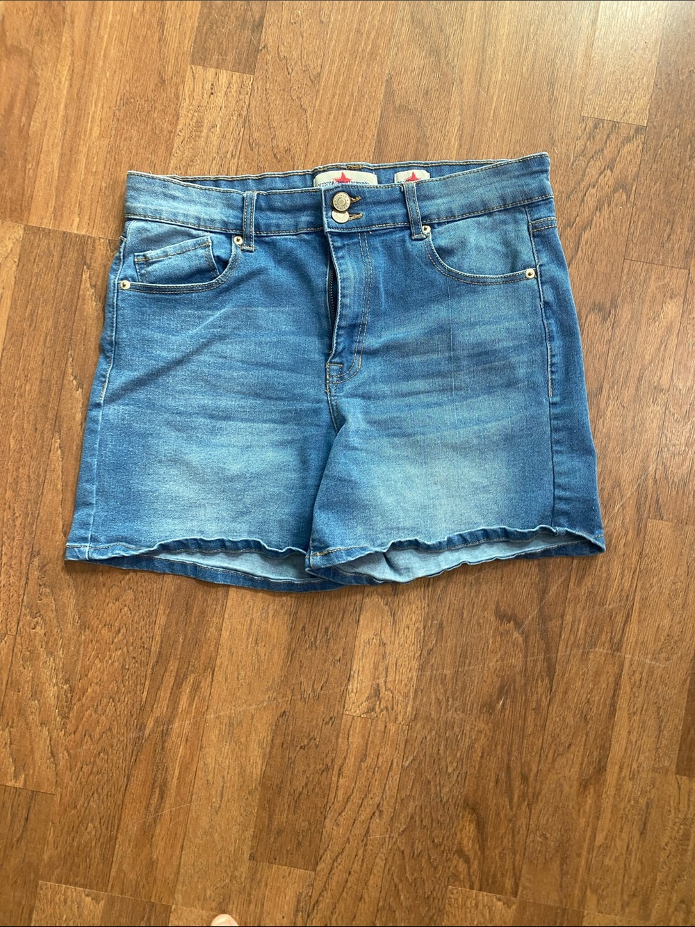 Women's Blue Denim Jean Shorts with Subtle Fade